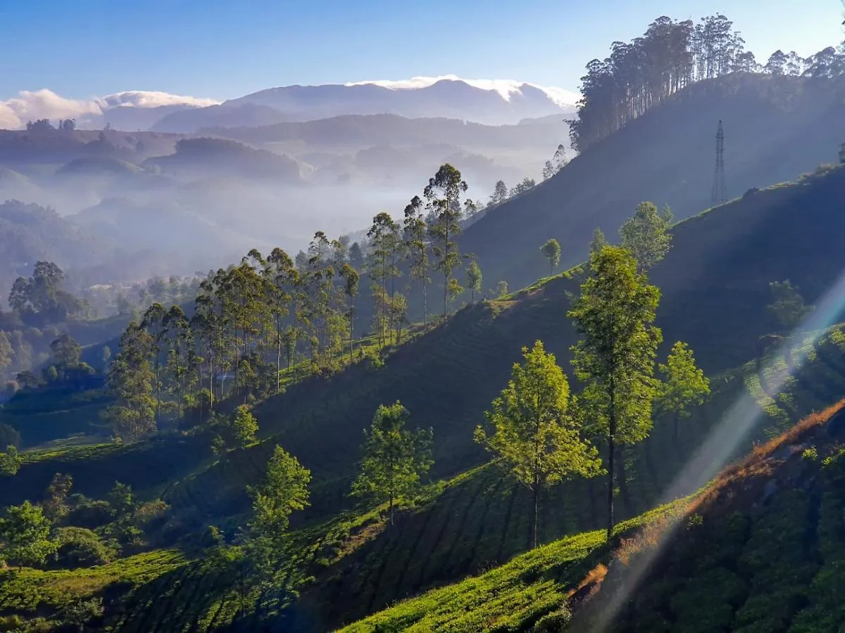 Grace Inn Munnar Homestay