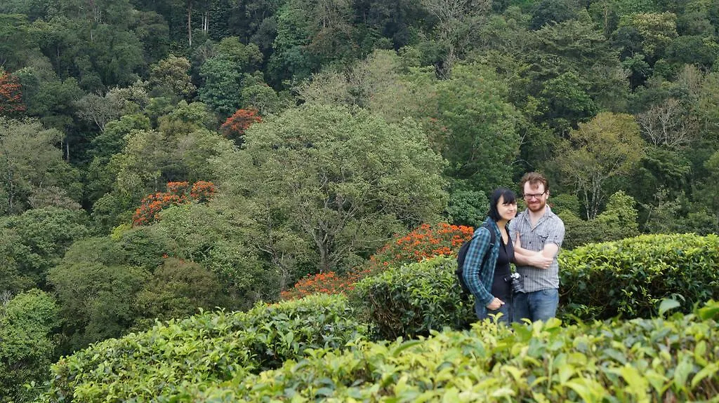 Grace Inn Munnar Homestay